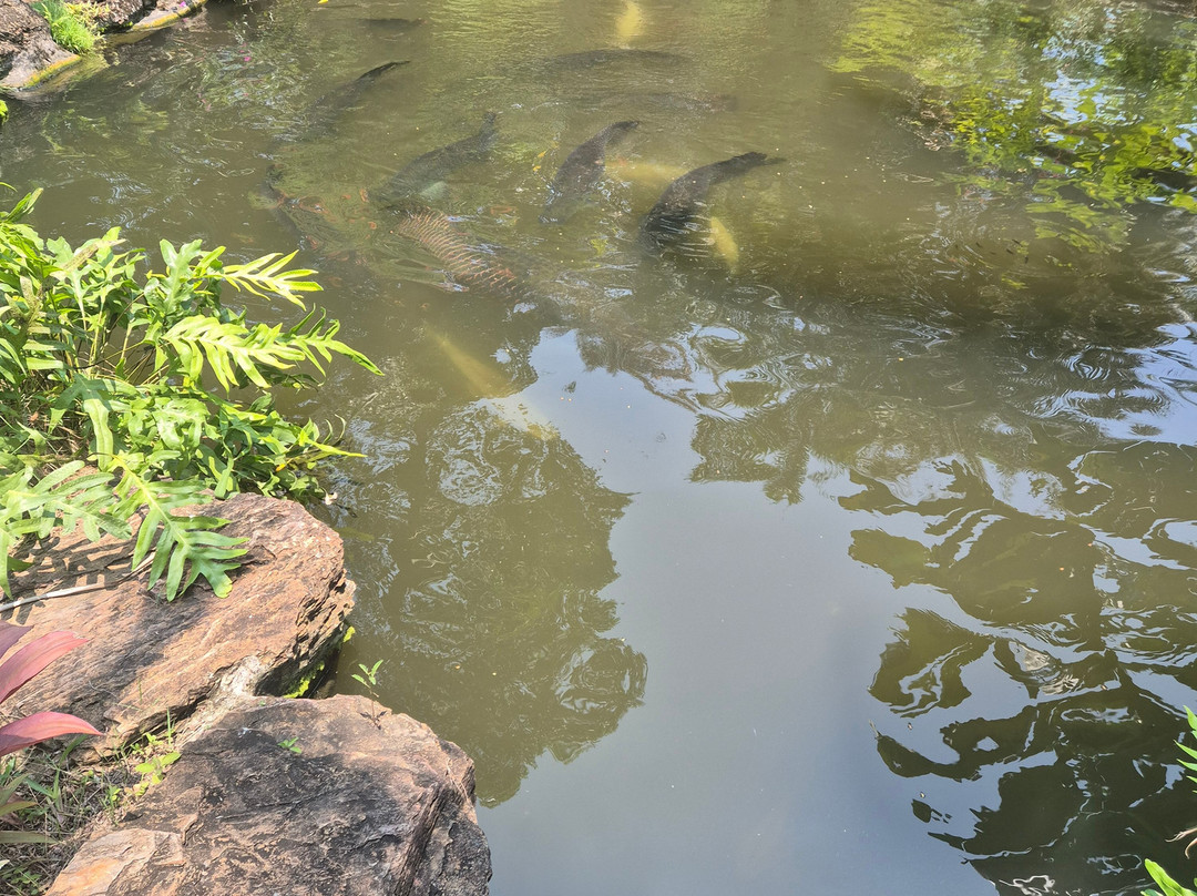 Jurassic Mountain Resort主图