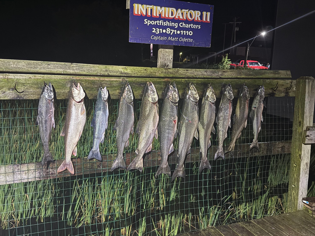 Intimidator Sport Fishing Charters-Frankfort必去景点