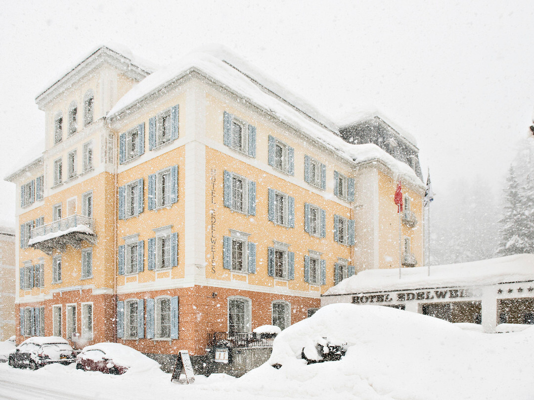 Sils im Engadin酒店住宿-Hotel Edelweiss