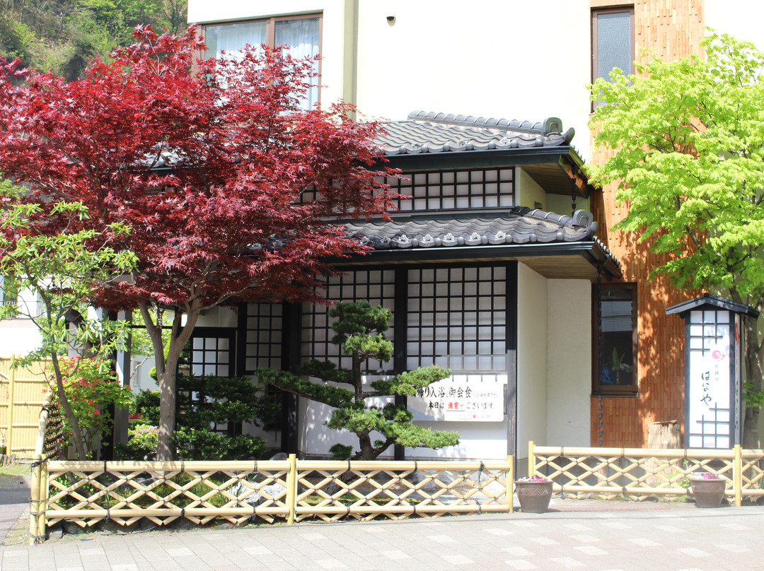 花钟亭花屋旅馆主图