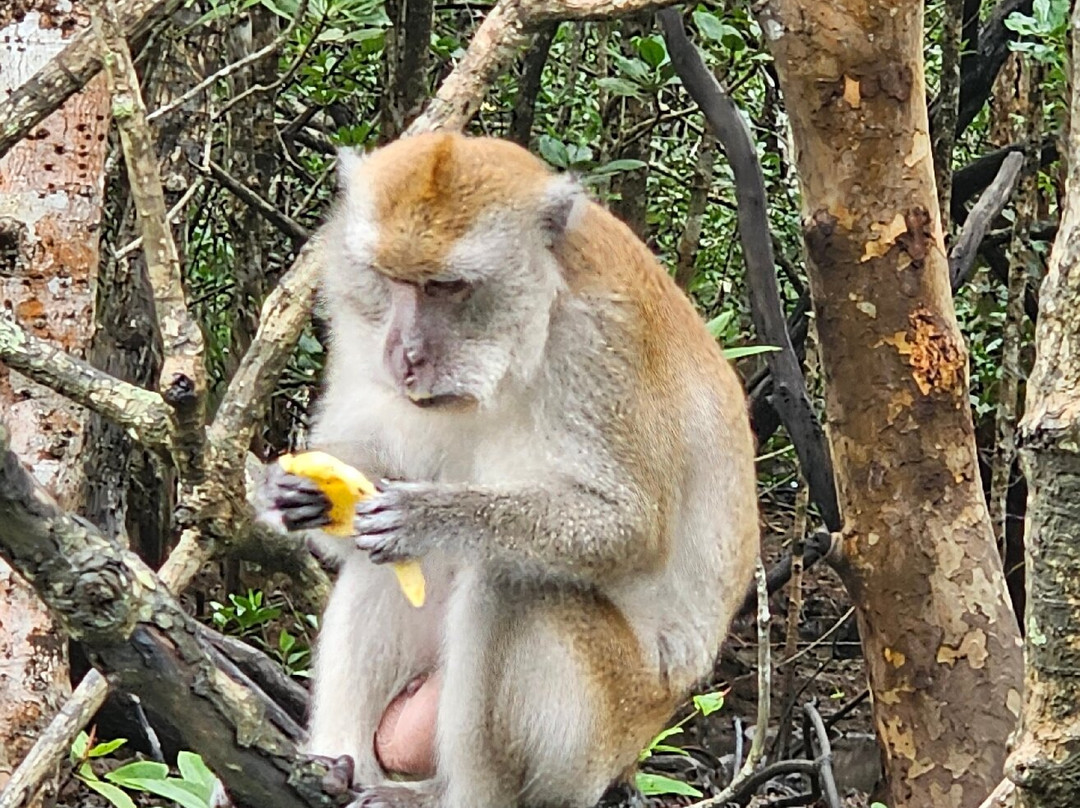 Russian Guide in Langkawi-兰卡威必去景点