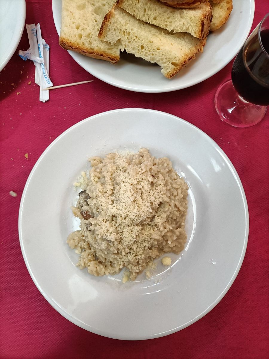 Hotel Palma Costa Gioiosa-旅行者