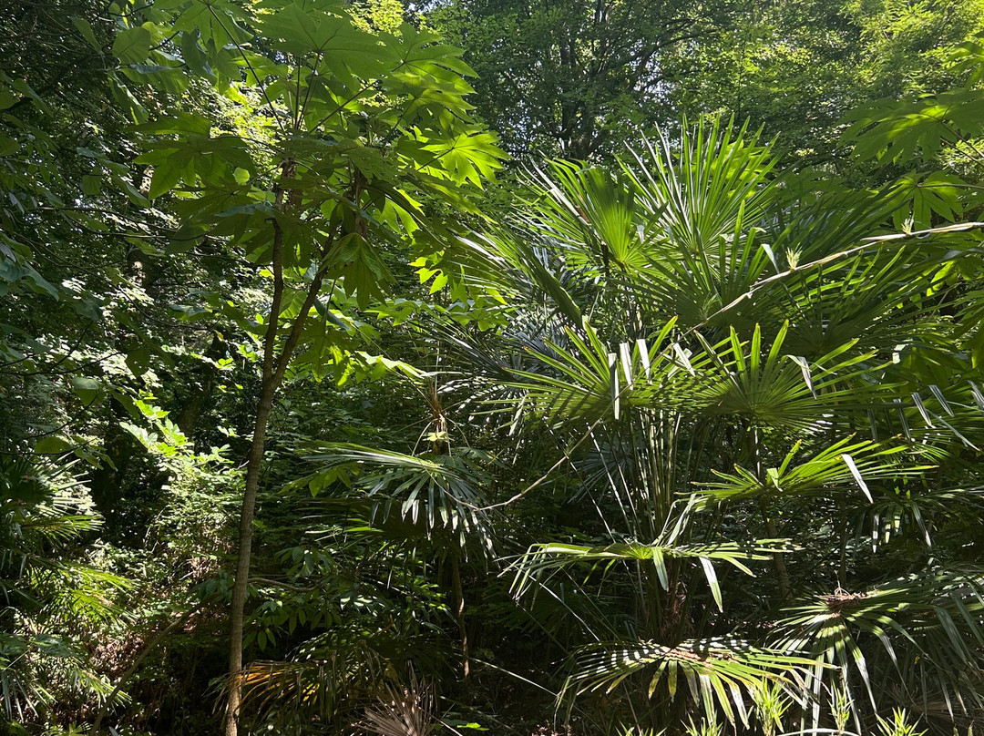 Jungle Garden-Eu必去景点
