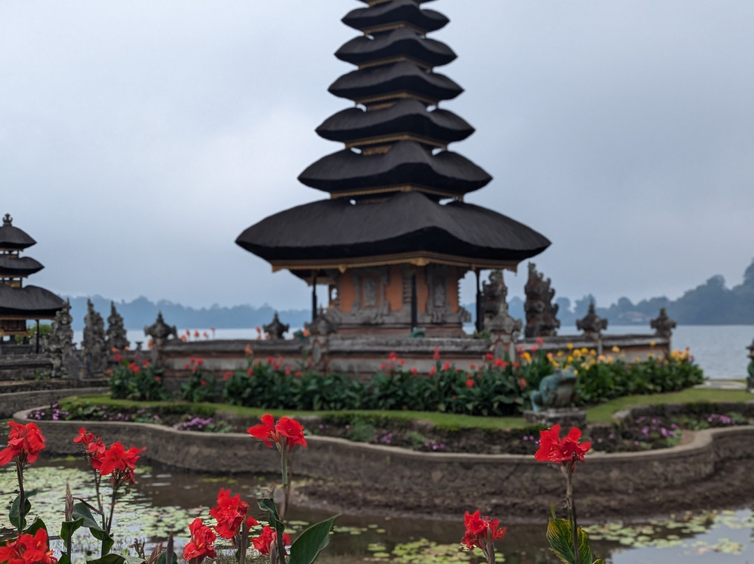 Bali Life Tours-乌布必去景点