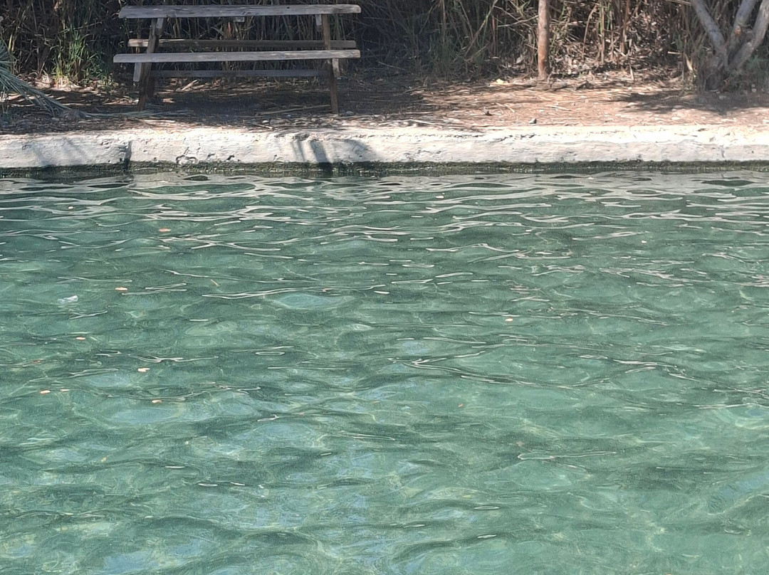 Enot Tsukim Nature Reserve - Ein Feshkha-Dead Sea Region必去景点