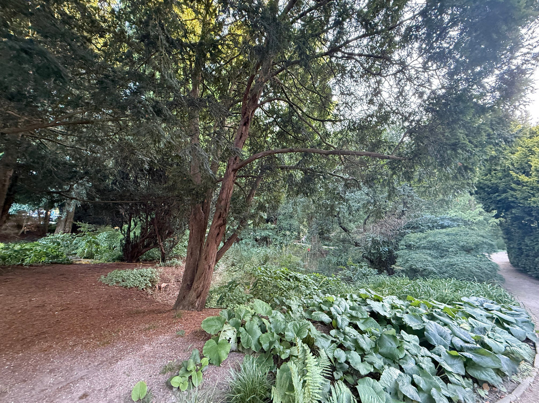 Alter Botanischer Garten-基尔必去景点