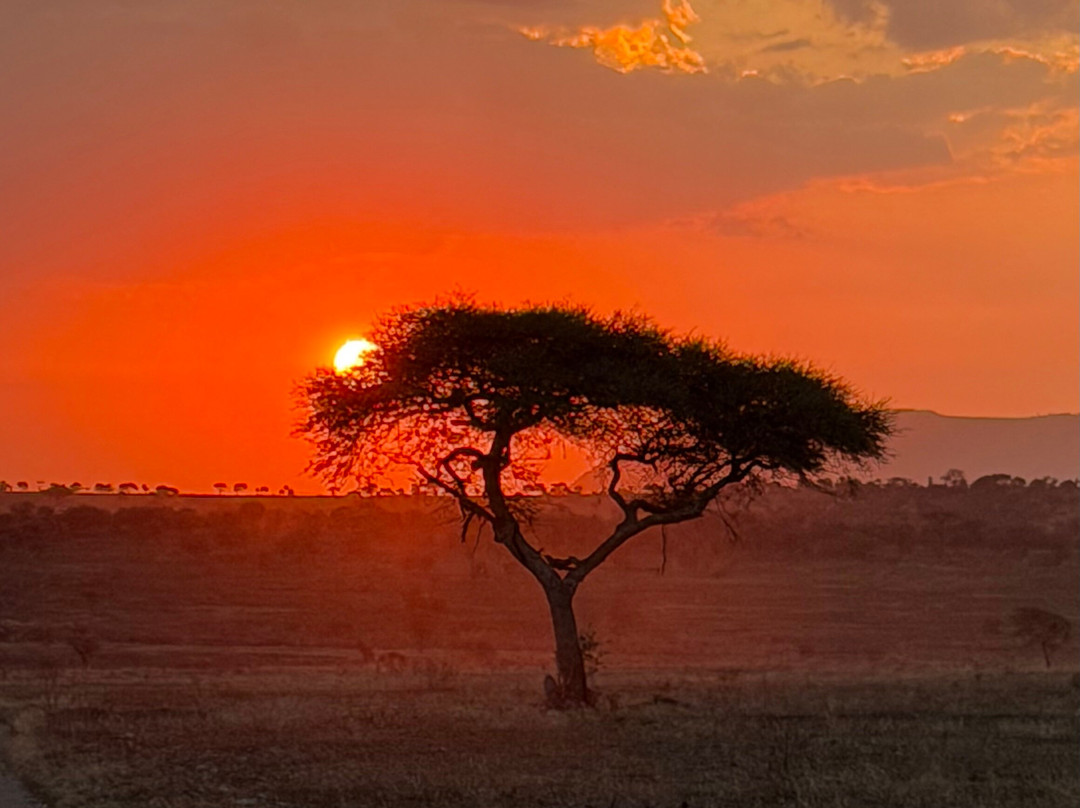 Unlimited Expeditions - The Soul Of Tanzania-阿鲁沙必去景点