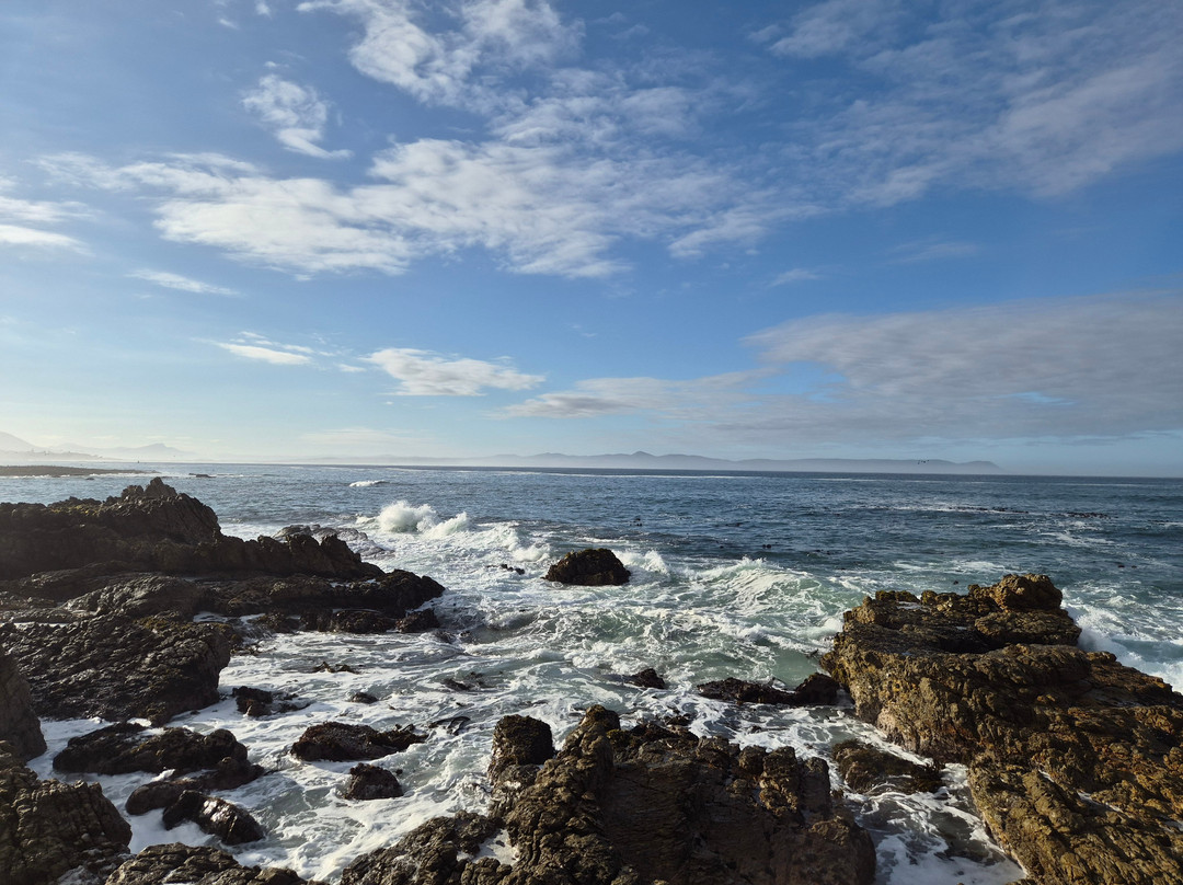 Hermanus Cliff Path-赫曼努斯必去景点