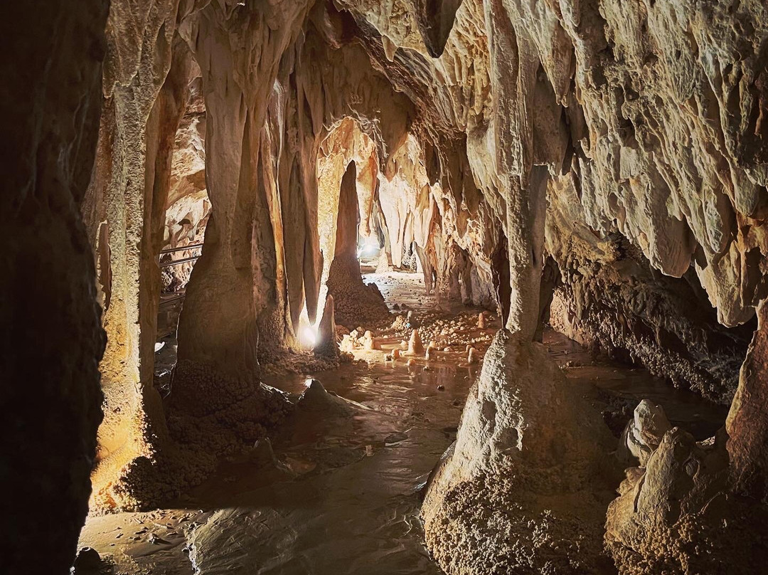 Grotte di Toirano-Toirano必去景点