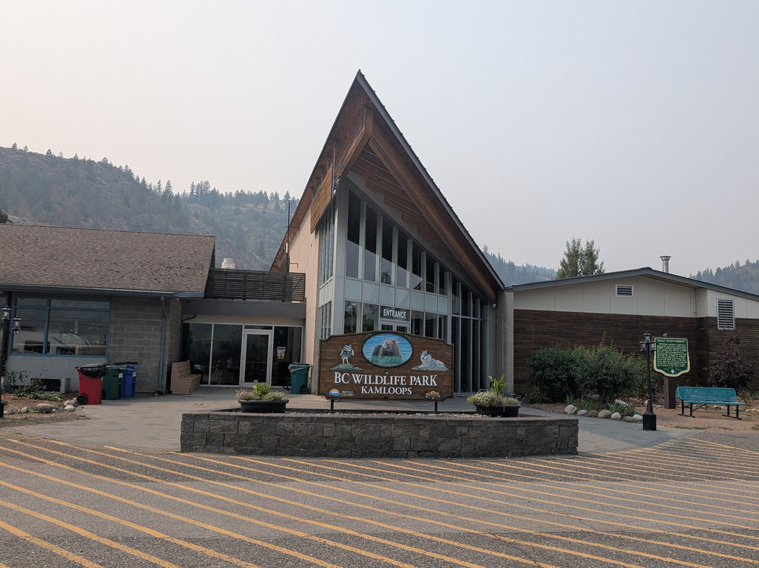 BC Wildlife Park-坎卢普斯必去景点