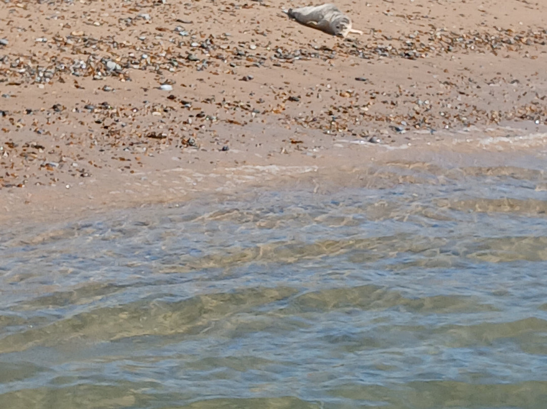 Temples Seal Trips & Blakeney Point-Morston必去景点