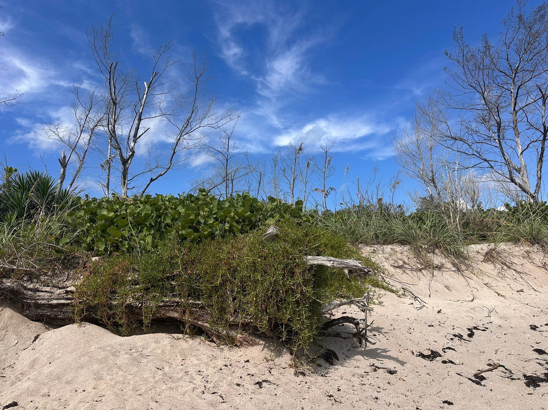 Walton Rocks Beach-Jensen Beach必去景点