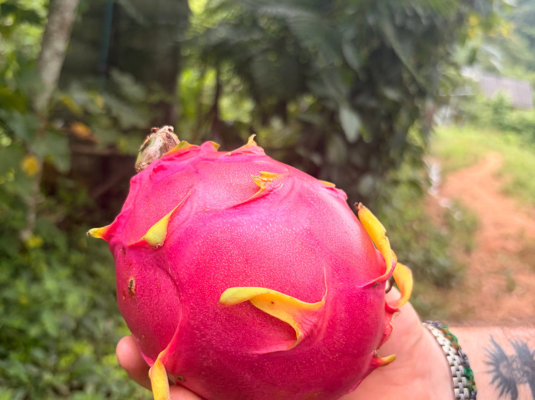 Chiang Mai Eco Trekking-清迈必去景点