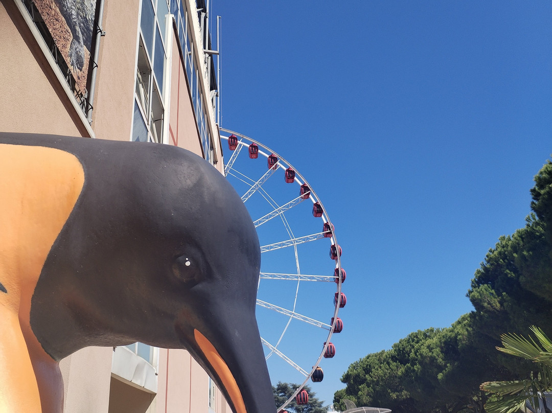 Tropicarium Park-Lido di Jesolo必去景点