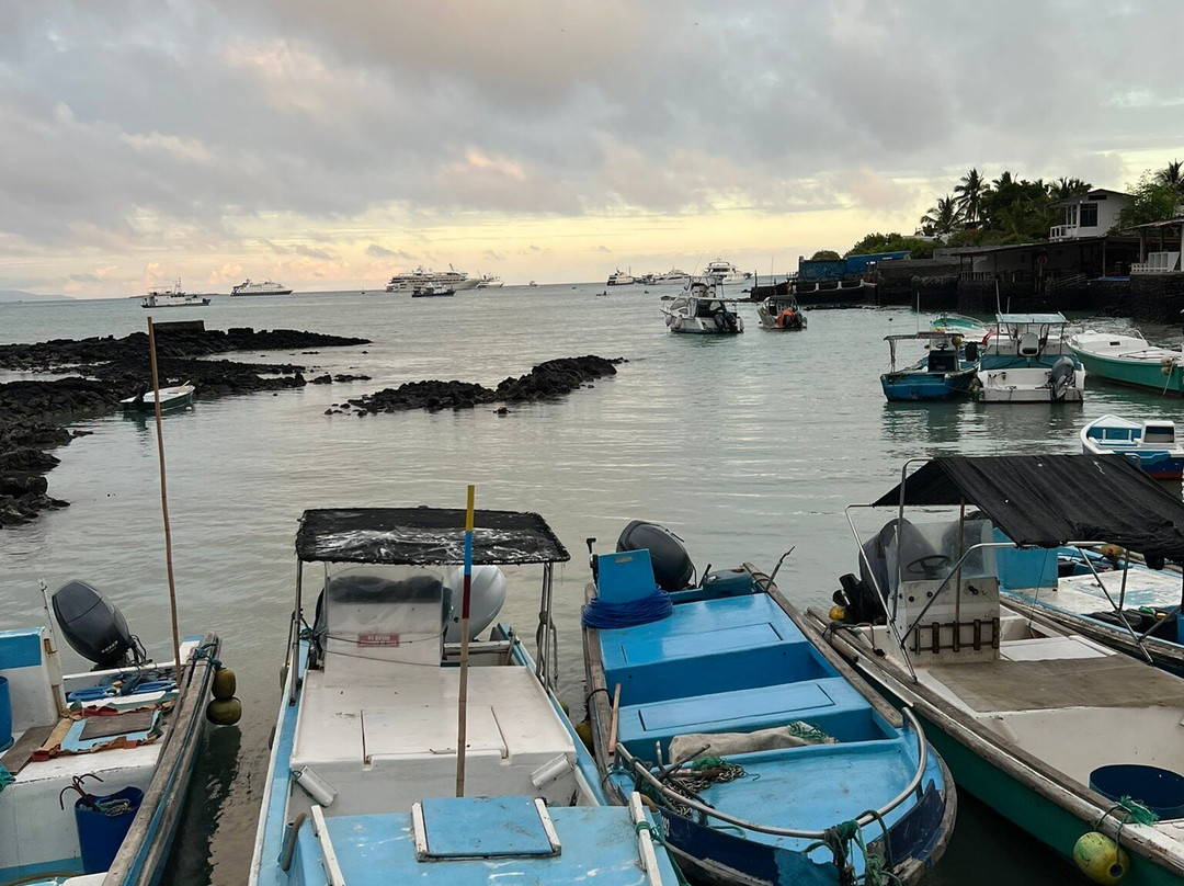 Santa Cruz Fish Market-阿约拉港必去景点