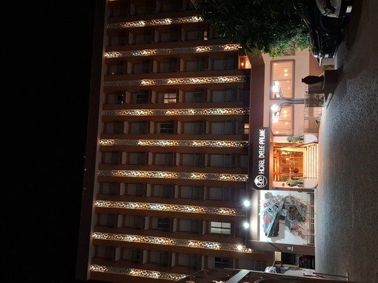 戴勒帕姆酒店-旅行者