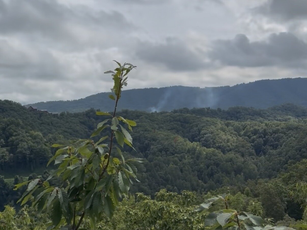 Smoky Mountain Ziplines-皮金福奇必去景点