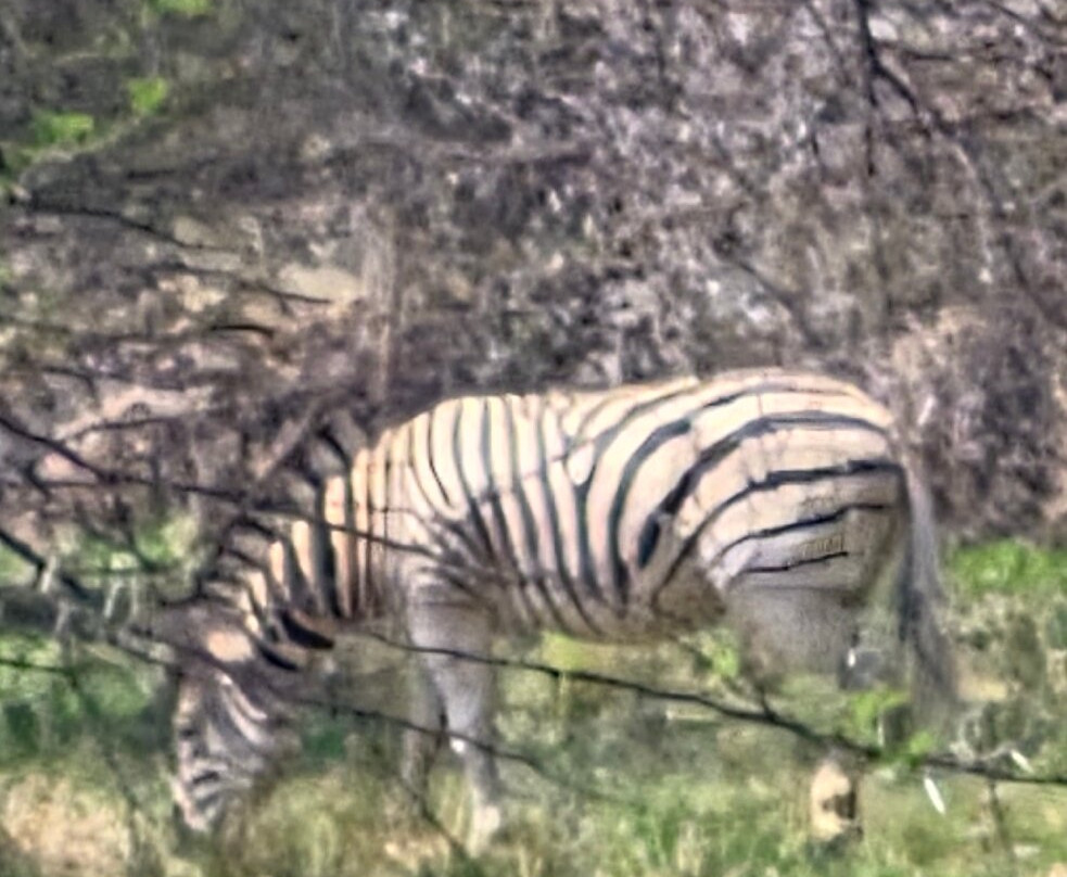 Gaborone Game Reserve-嘉伯隆里必去景点