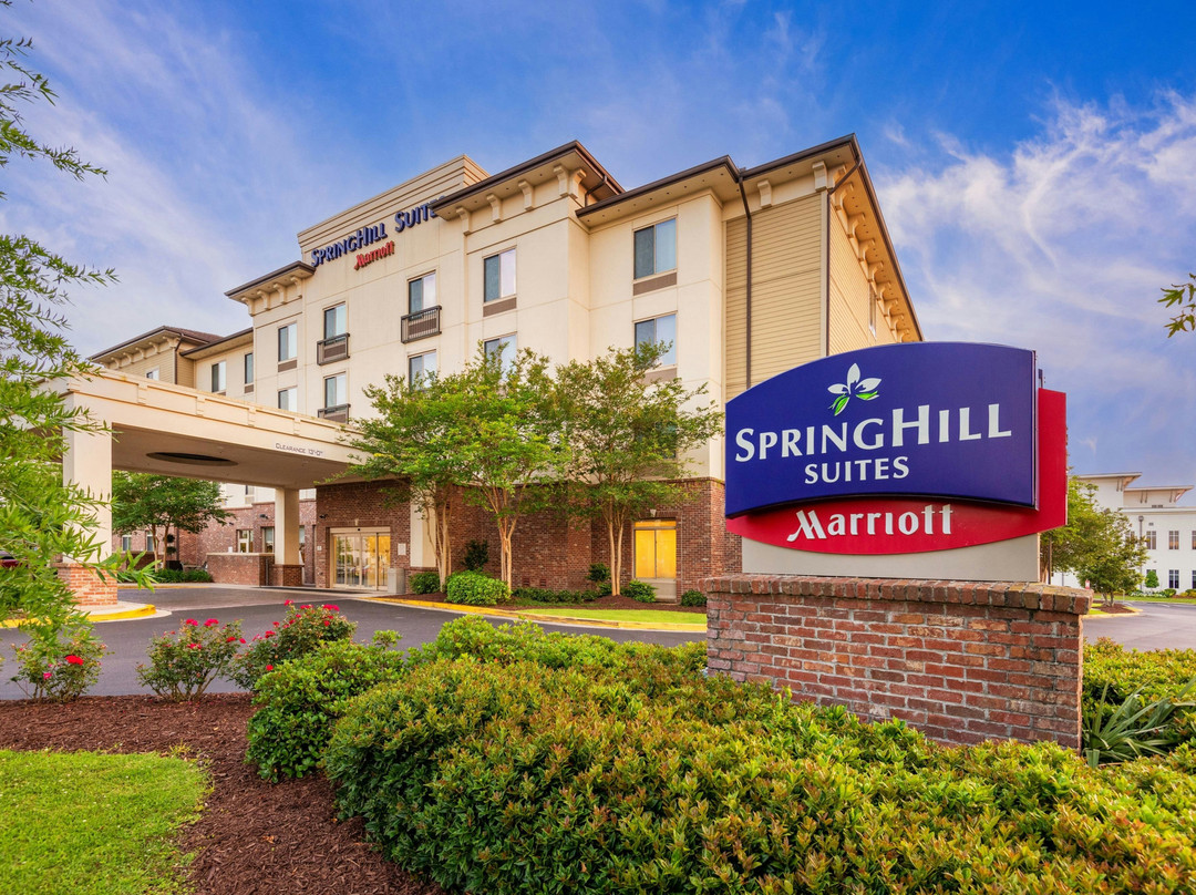 南拉斐特里弗兰奇万豪SpringHill酒店主图