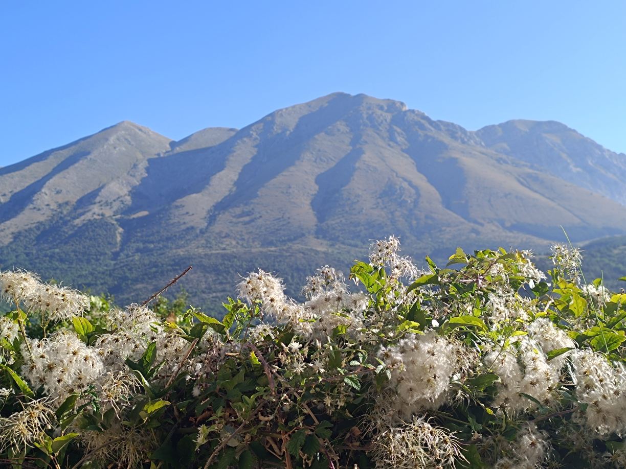B&B La Residenza-旅行者