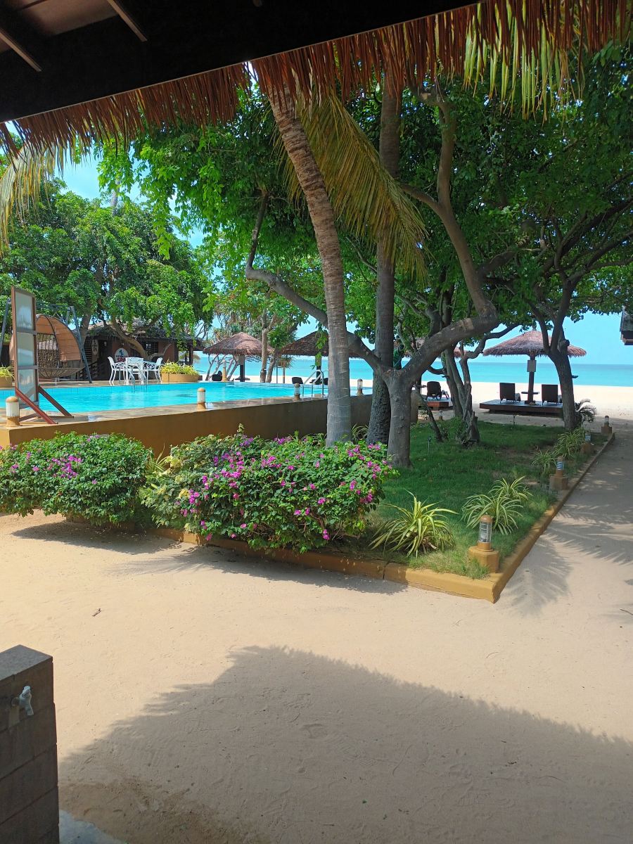 尼拉瓦利海滩酒店-旅行者