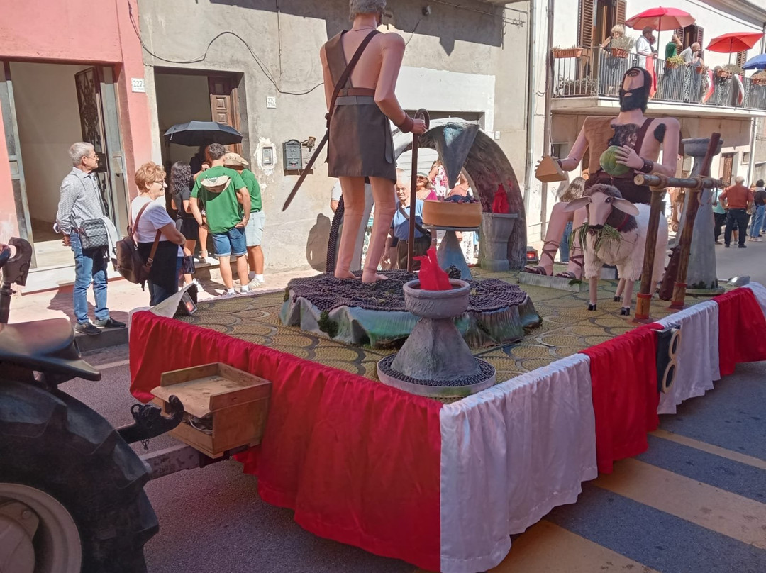 Festa dell'Uva-Solopaca必去景点