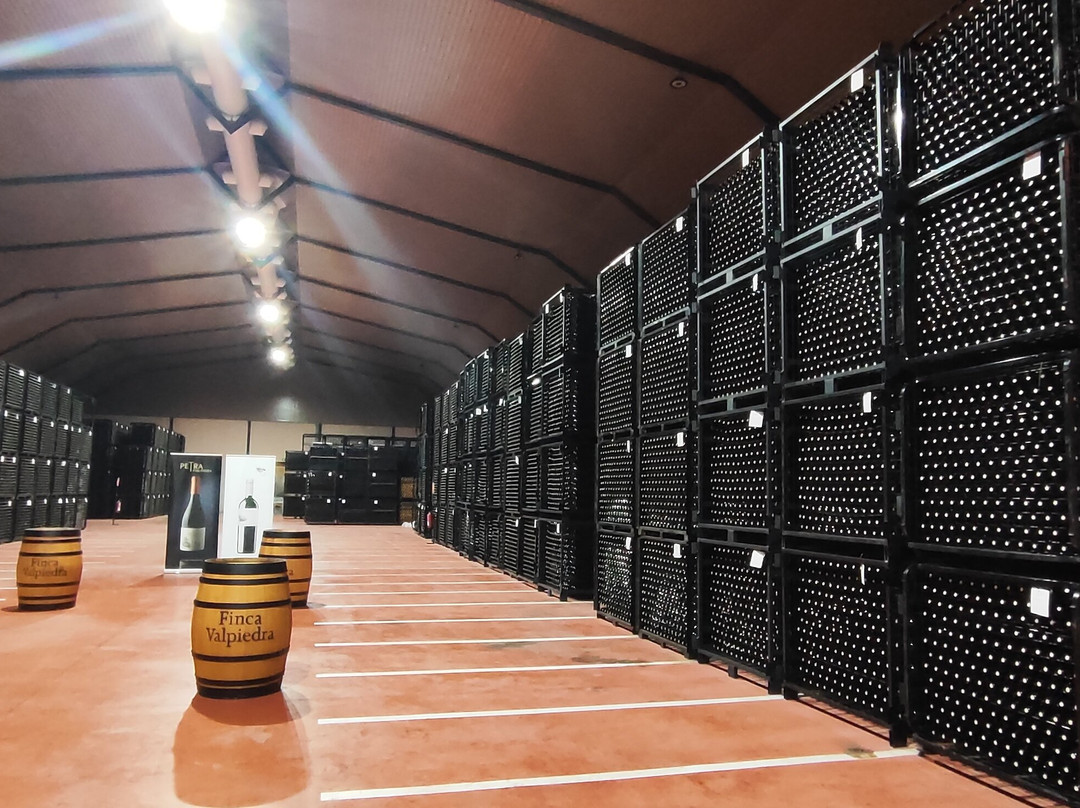 Bodega Finca Valpiedra-Fuenmayor必去景点