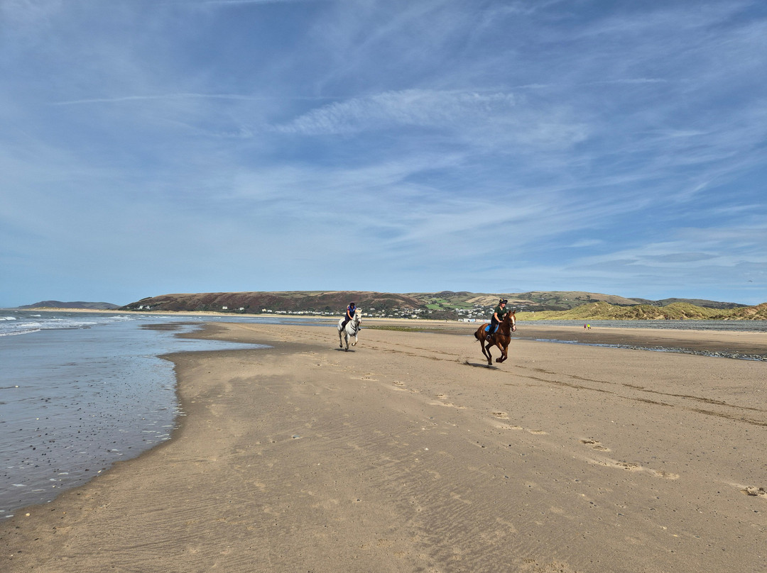 Ynyslas National Nature Reserve-Borth必去景点