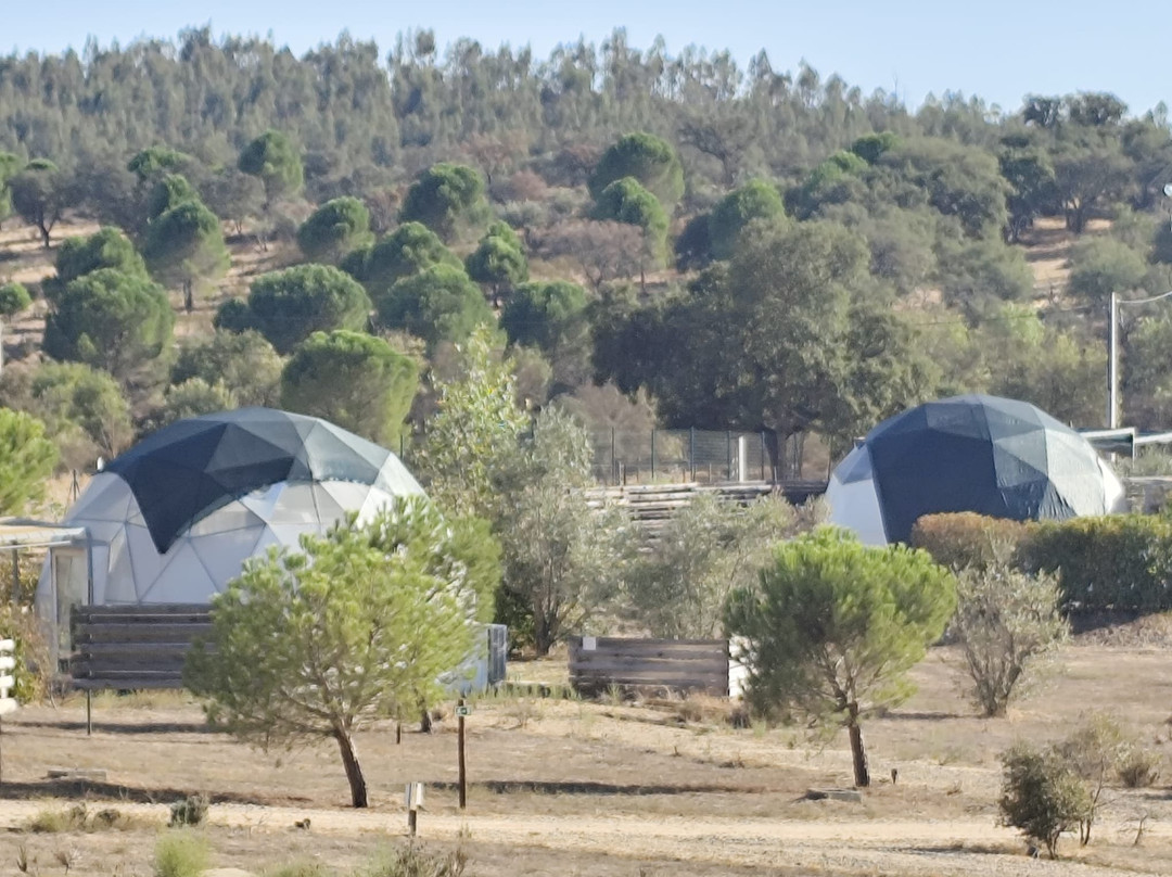 Glamping Skies