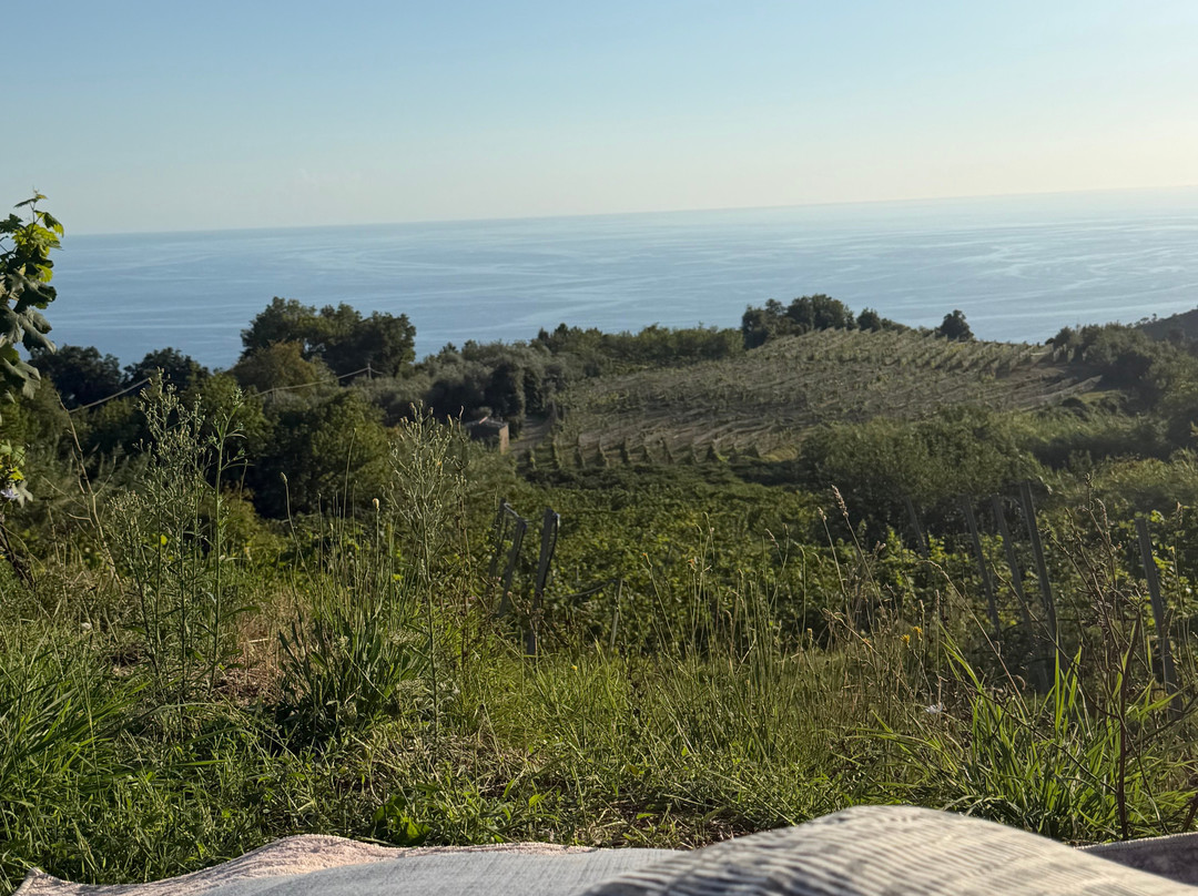 Cà Du Ferrà Wine & Tasting-Bonassola必去景点