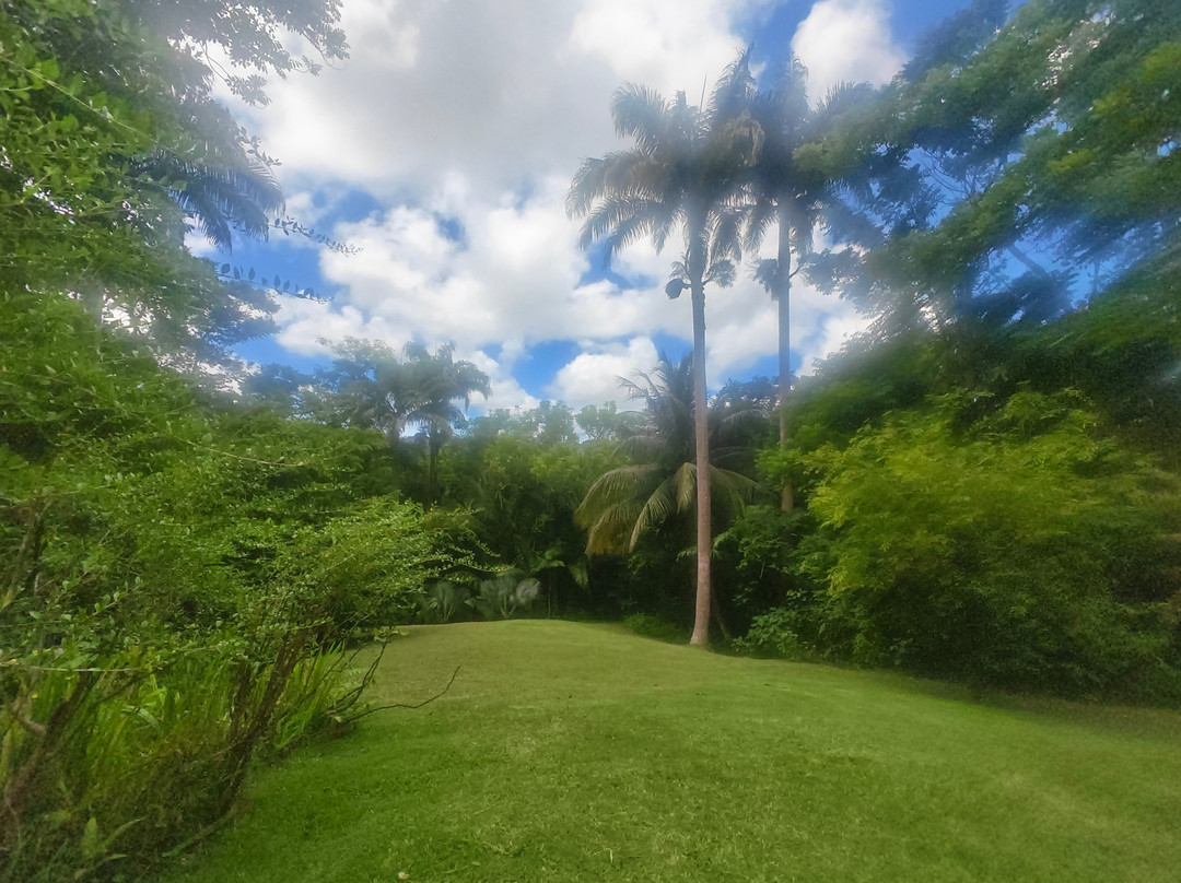 Flower Forest-Saint Thomas Parish必去景点