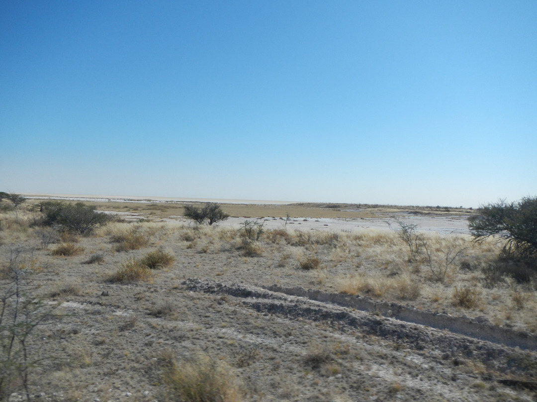 Etosha Pan-纳米比亚埃托沙国家公园必去景点