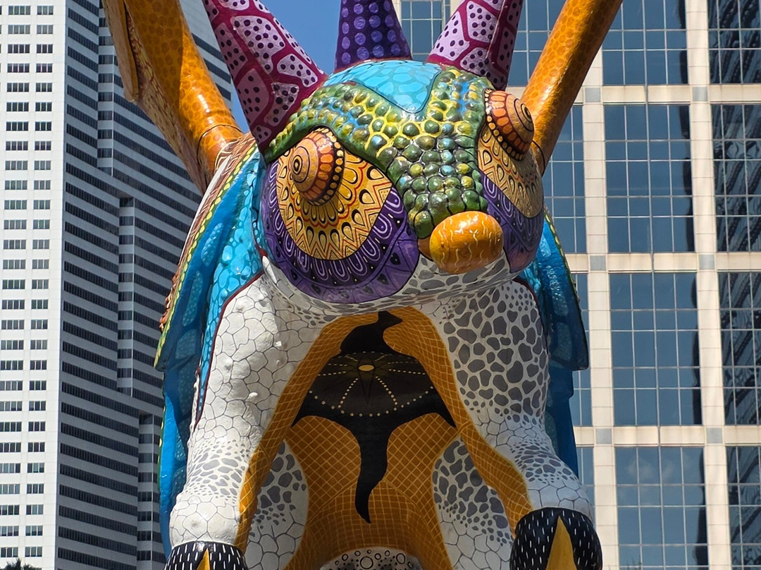 Discovery Green-休斯顿必去景点