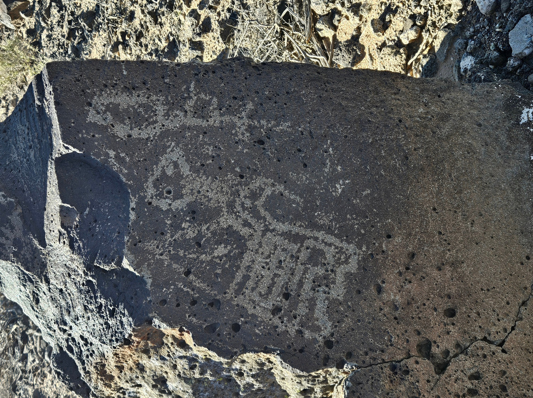 Petroglyph National Monument-阿尔伯克基必去景点