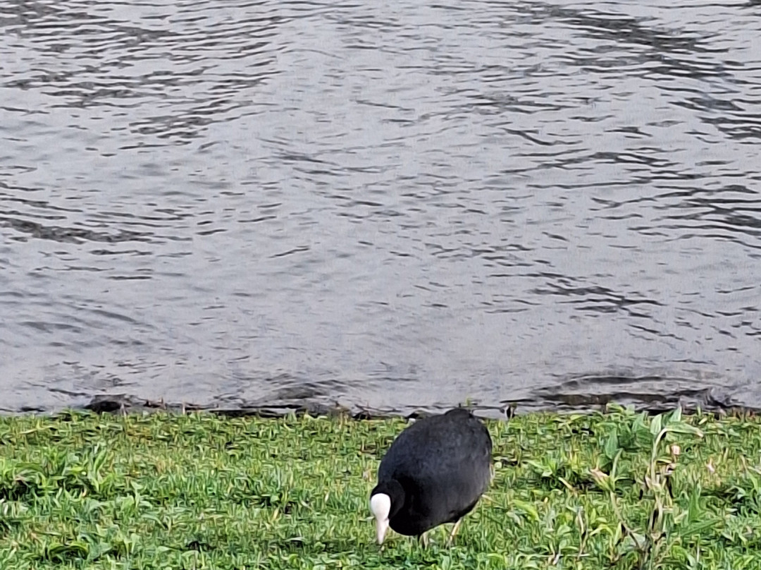Walthamstow Wetlands-伦敦必去景点