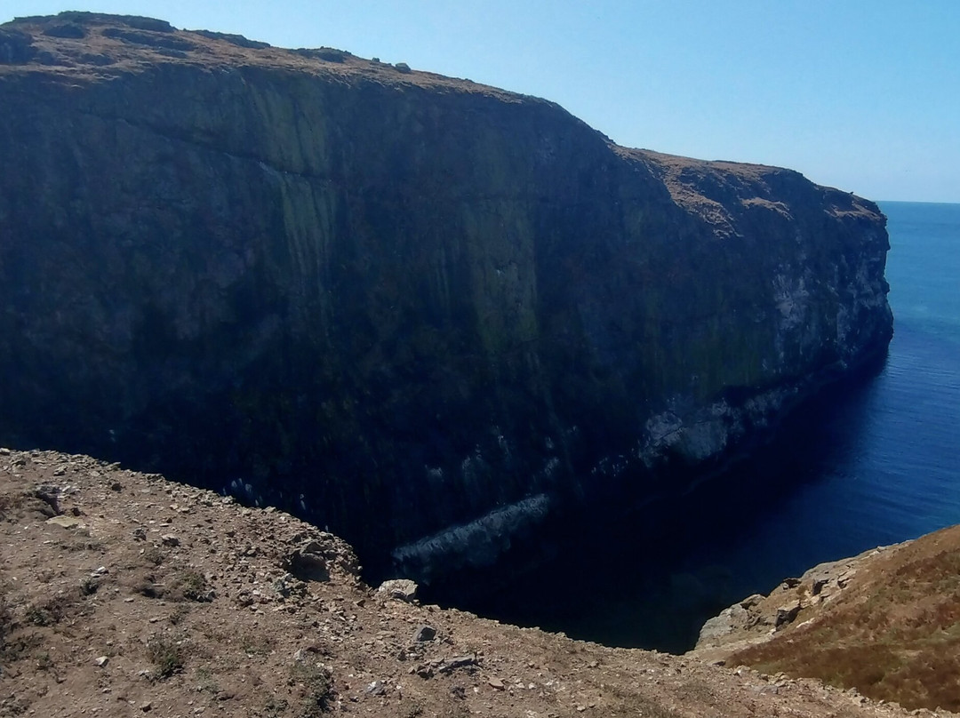Pembrokeshire Islands Boat Trips-Marloes必去景点