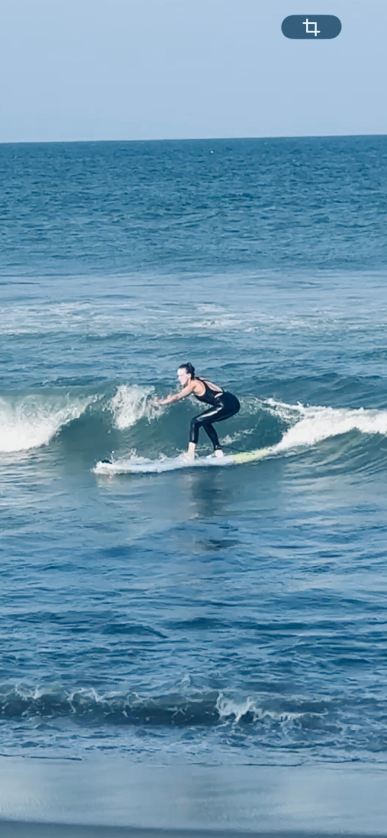 Surf Turf-旅行者