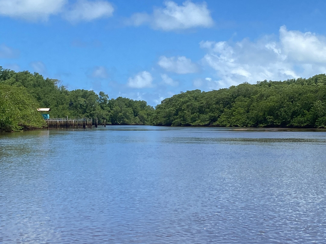 Associacao Peixe-Boi-Porto de Pedras必去景点