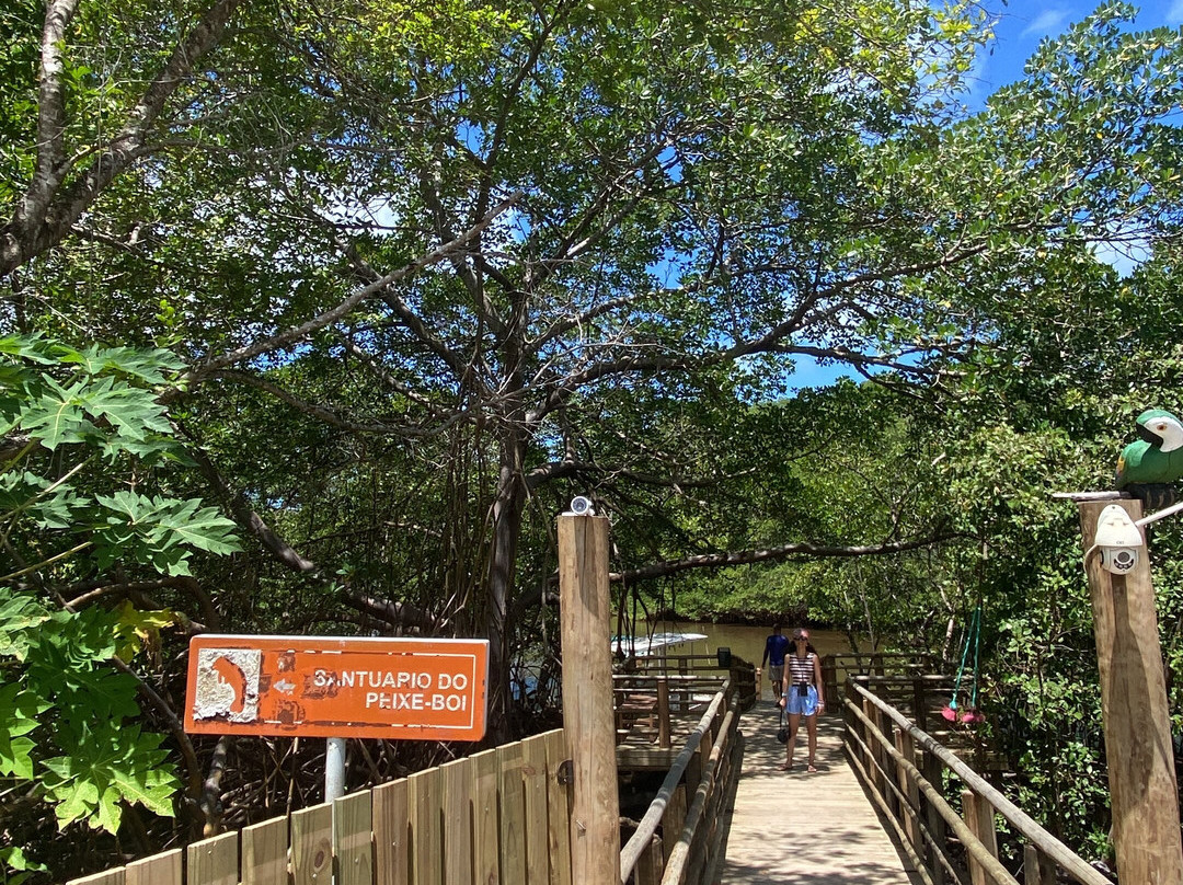 Associacao Peixe-Boi-Porto de Pedras必去景点