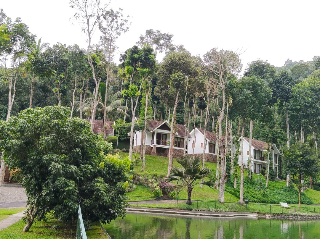 Amaana Plantation Resort主图