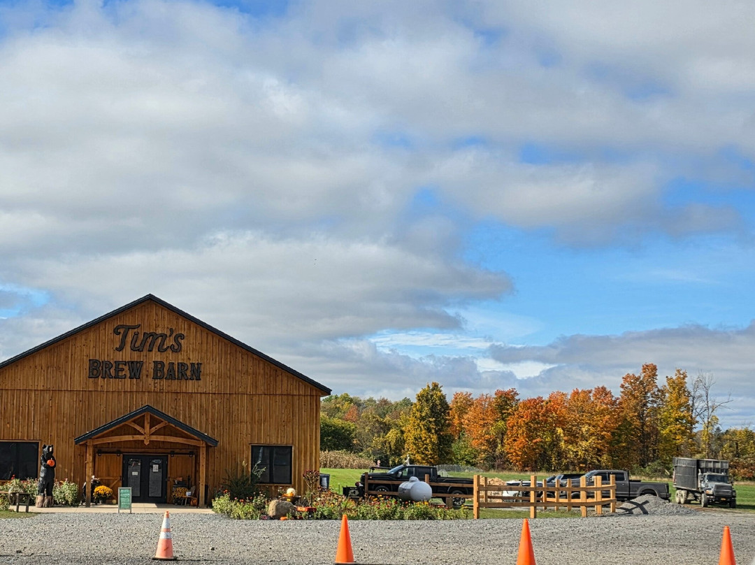 Tim's Pumpkin Patch