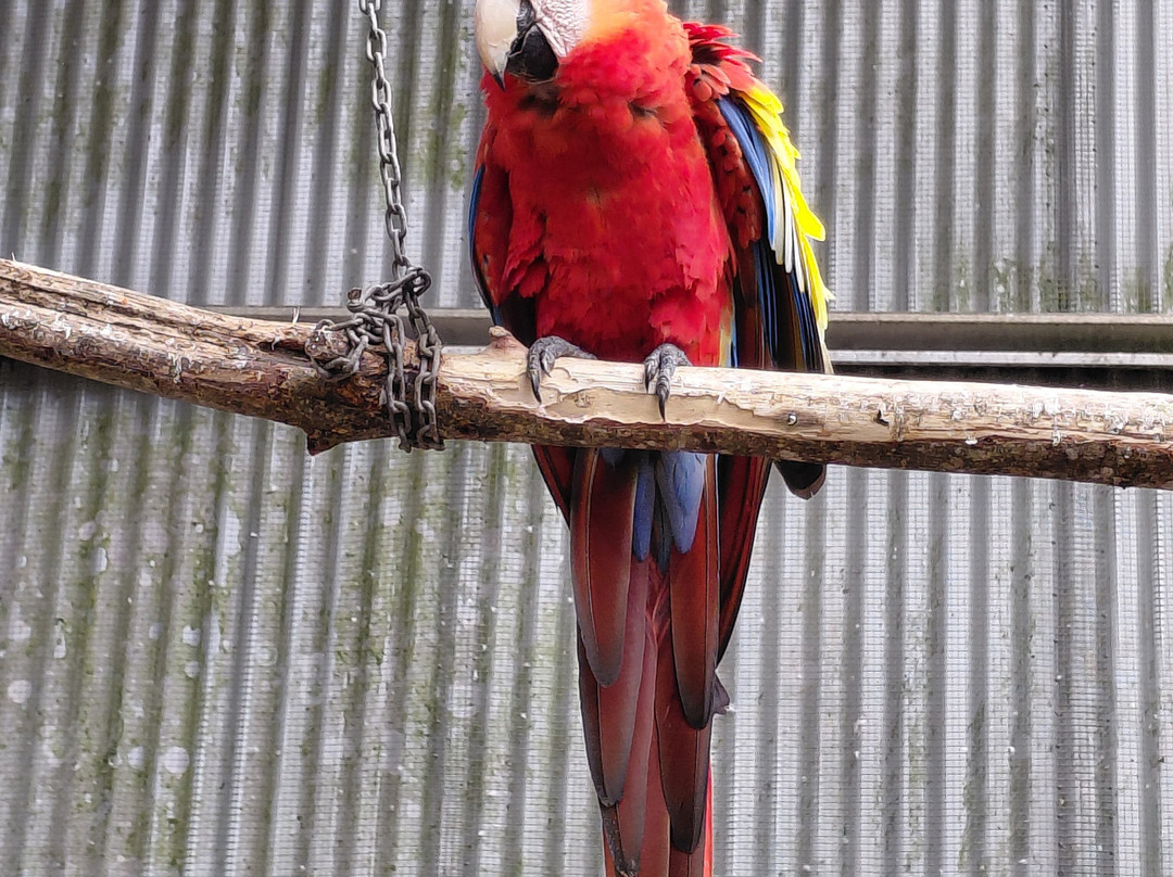 Maleny Botanic Gardens & Bird World-马莱尼必去景点