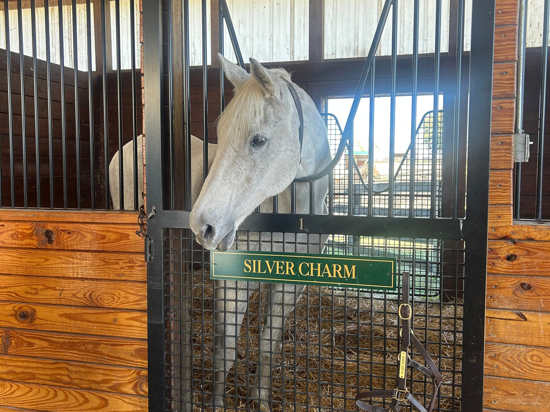 Old Friends at Dream Chase Farm-Georgetown必去景点