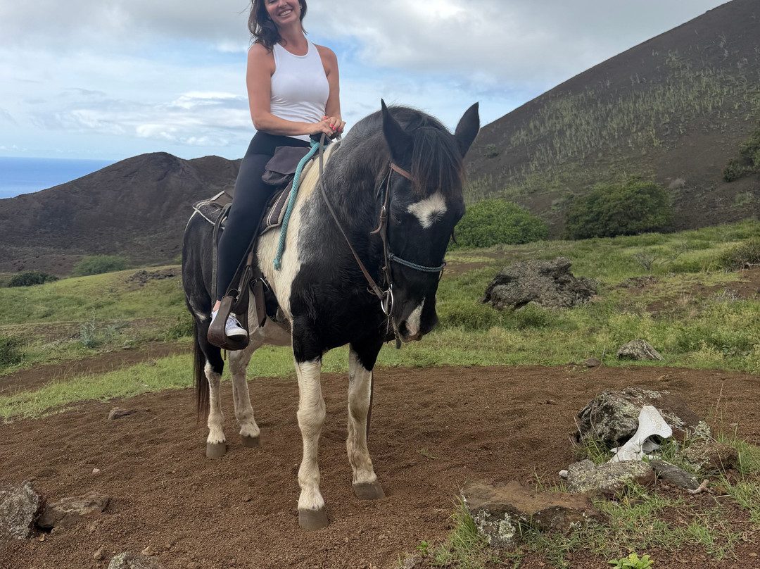 Triple L Ranch Horseback Tours-库拉必去景点