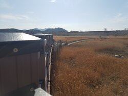 Daemyung Oil Reservoir-大邱必去景点