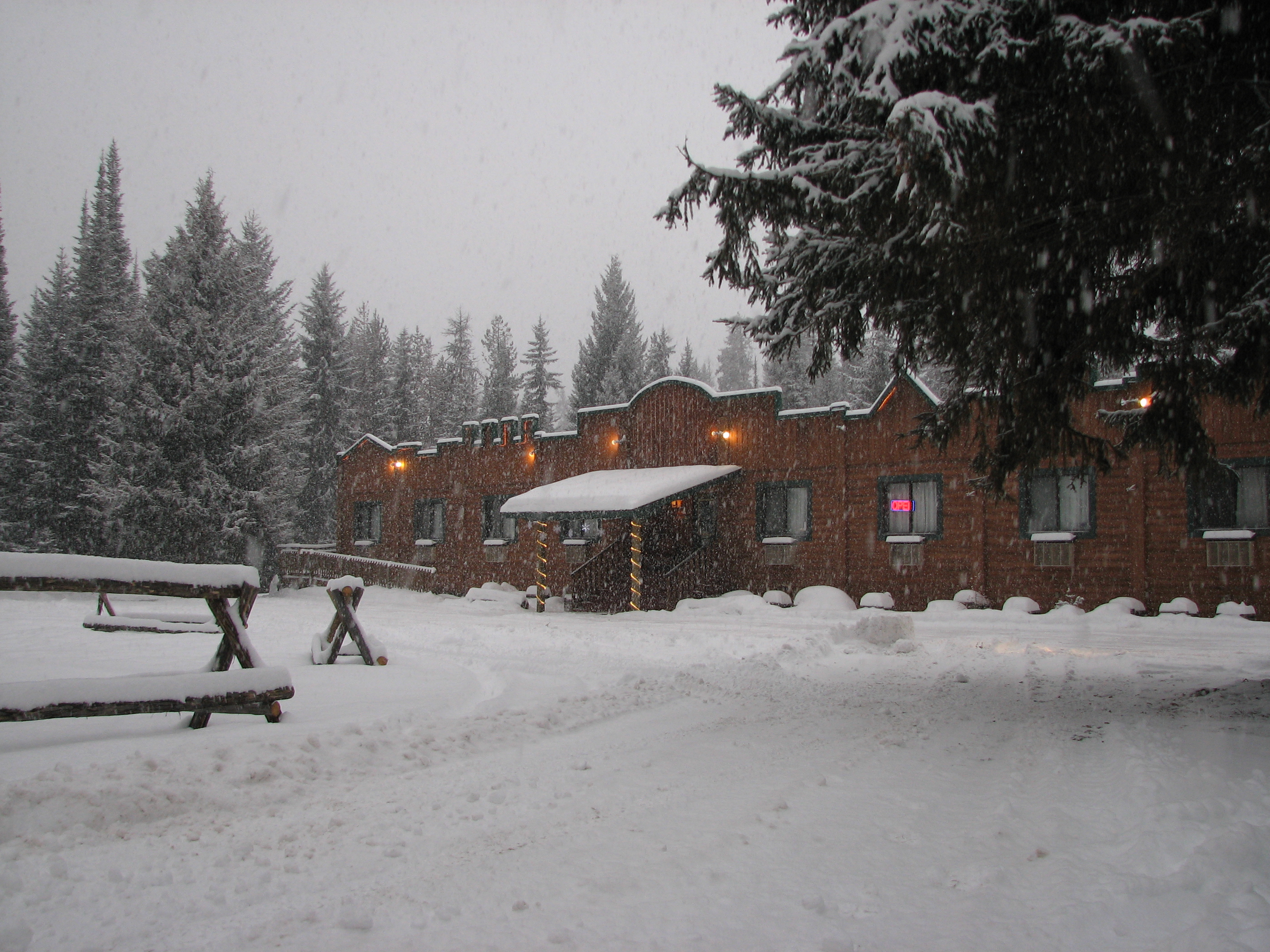 Montana Pines Motel-官方