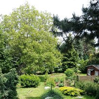 Altenburg Stadtfuerungen-Altenburg必去景点