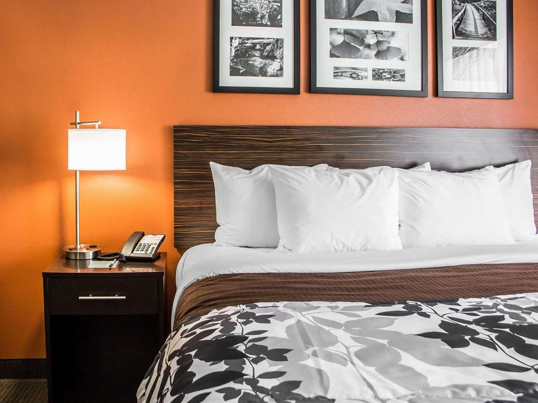 Sleep Inn & Suites主图