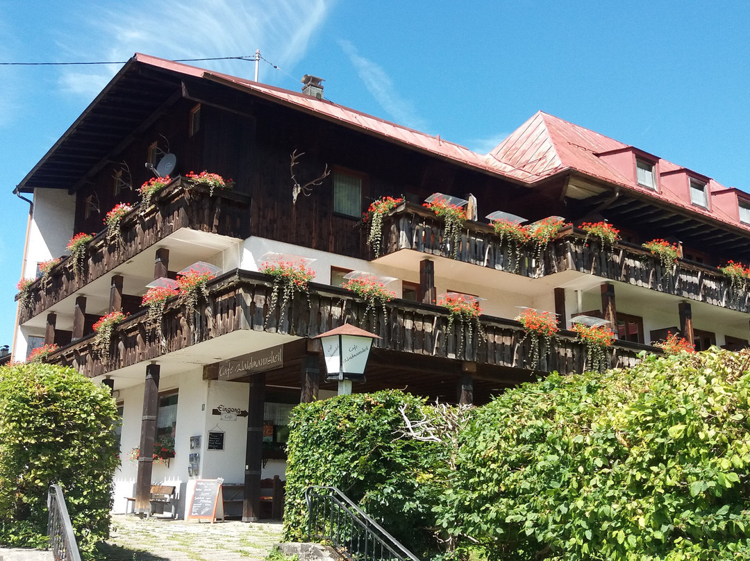 Hotel Waldmannsheil