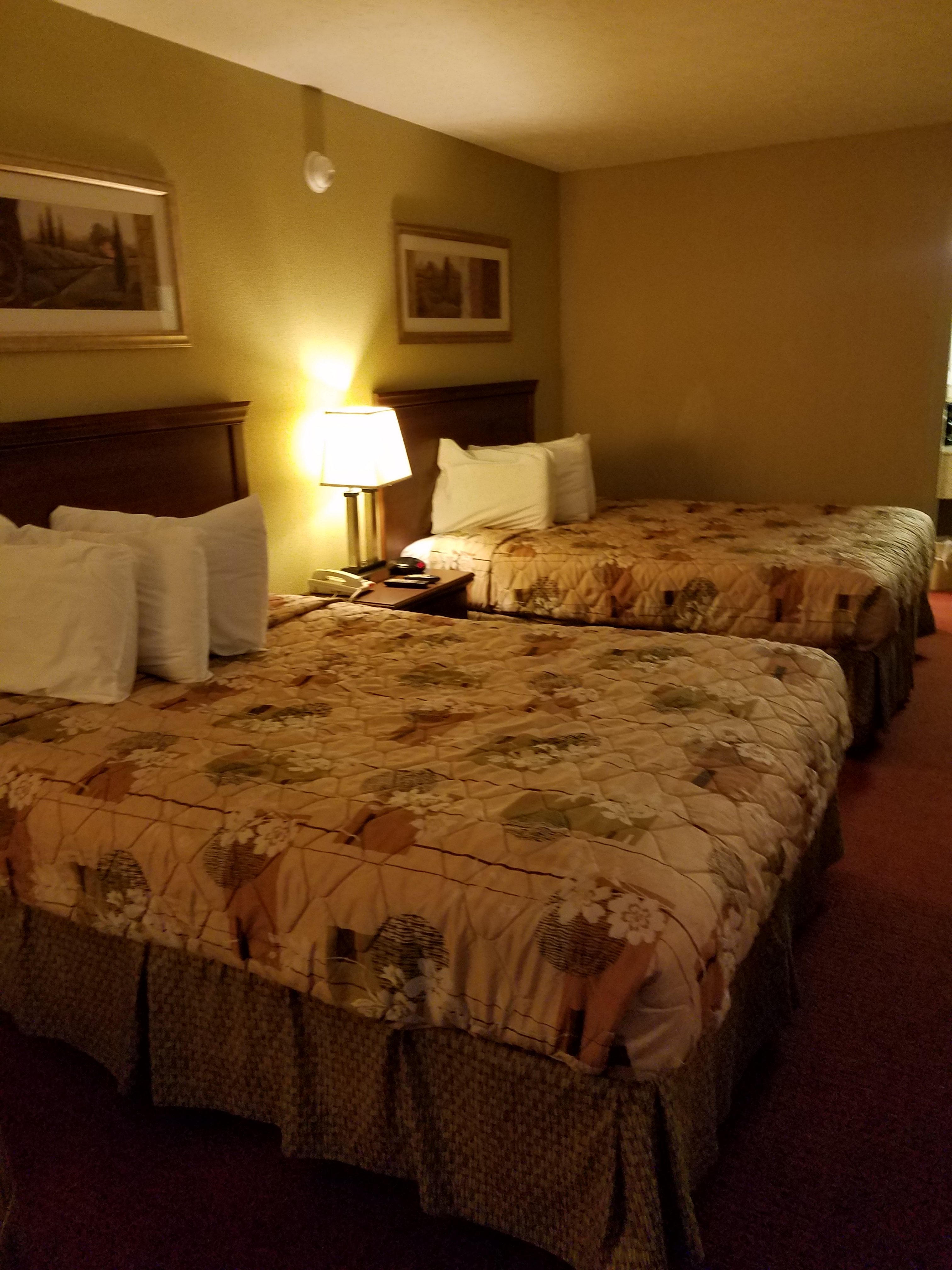 Springfield Inn Hotel & Extended Stay-官方